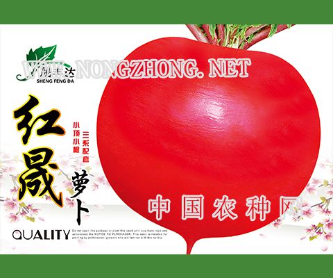 红晟萝卜